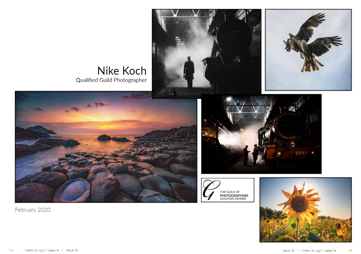 Guild Qualified - Creative Light Mag