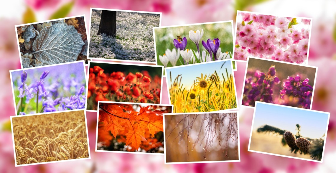 Framing Places Photography: "Seasons 2021" wall calendar